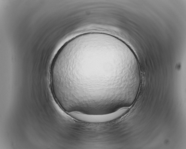 X0000097301531200803071742