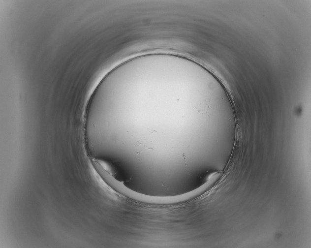 X0000097301532200803071742