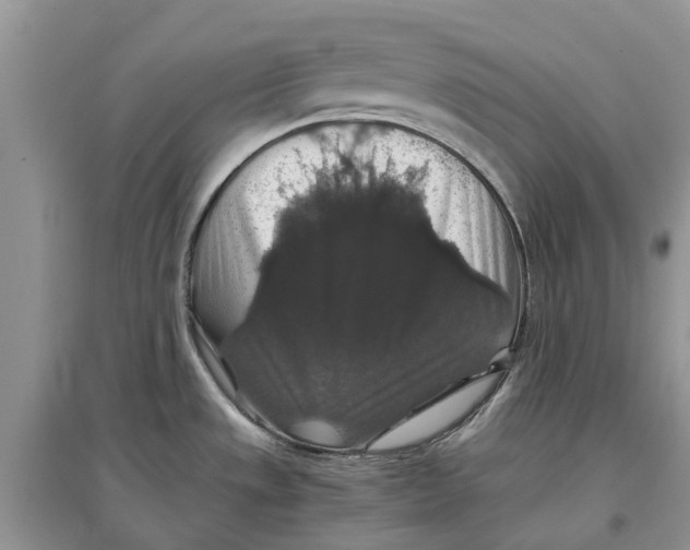 X0000097301533200803071742