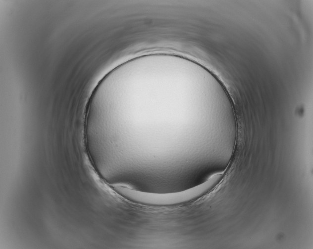 X0000097301534200803071742