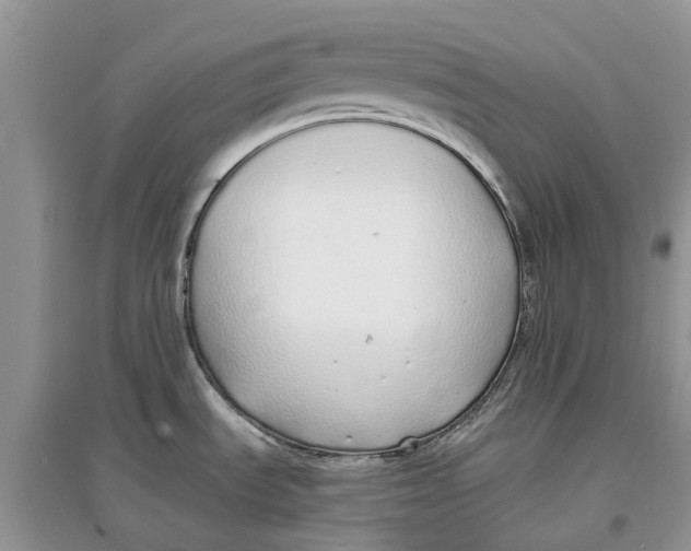 X0000097301535200803071742