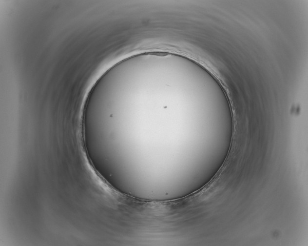 X0000097301536200803071742