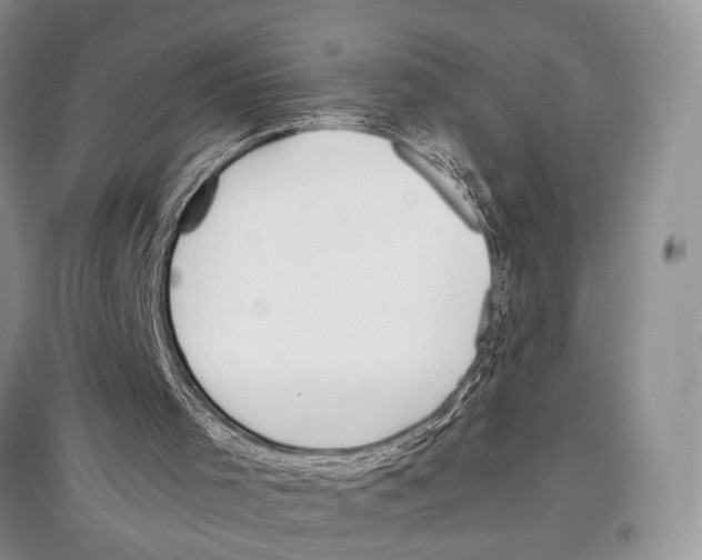 X0000097300001200803141542