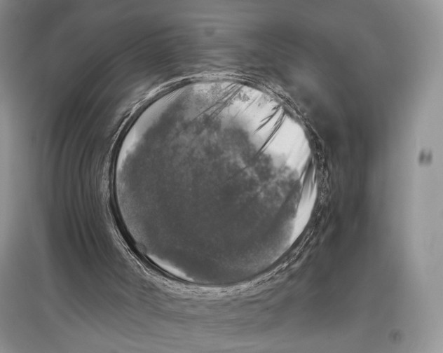 X0000097300002200803141542