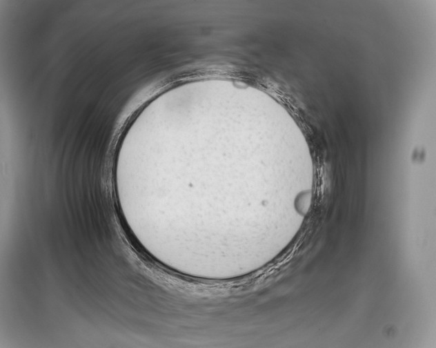 X0000097300004200803141542