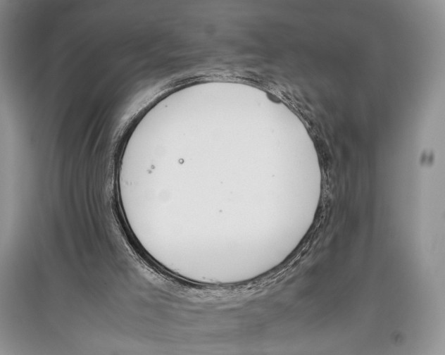 X0000097300005200803141542