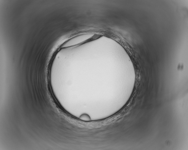 X0000097300006200803141542