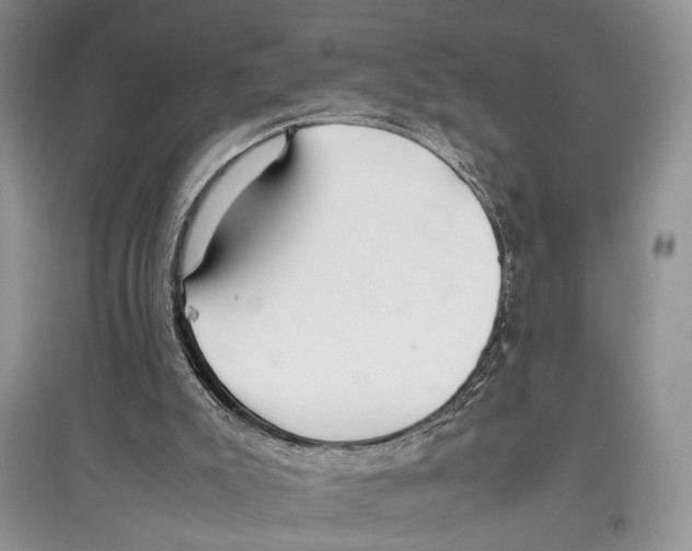 X0000097300007200803141542