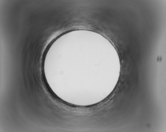 X0000097300008200803141542