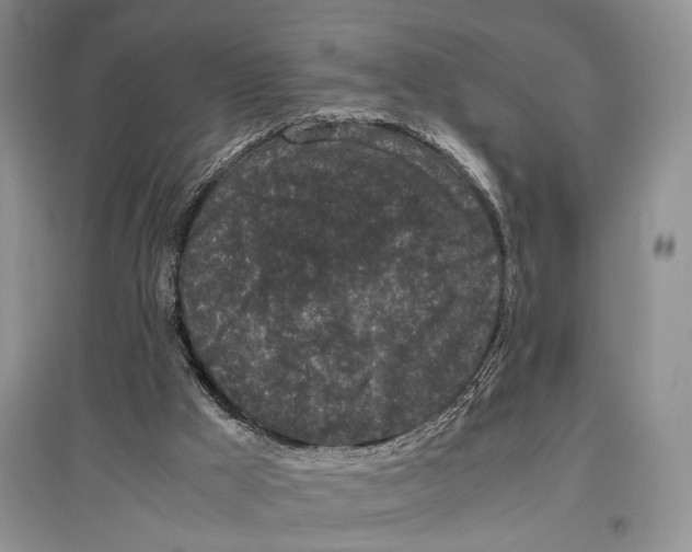 X0000097300009200803141542