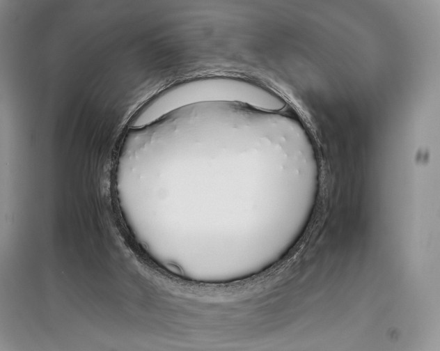 X0000097300010200803141542