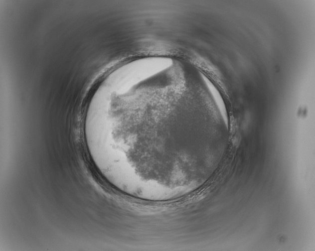 X0000097300012200803141542