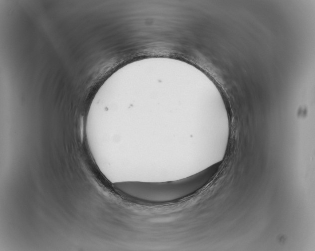 X0000097300013200803141542