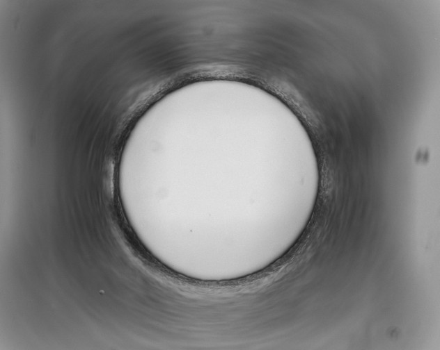 X0000097300014200803141542
