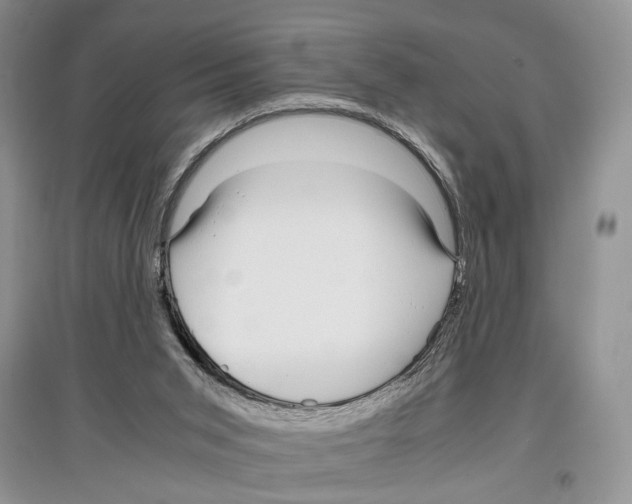 X0000097300015200803141542
