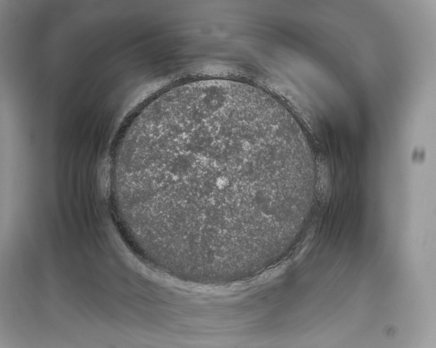 X0000097300016200803141542