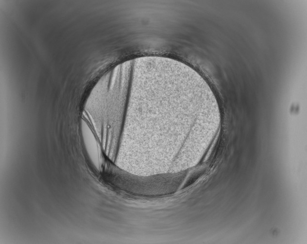 X0000097300017200803141542