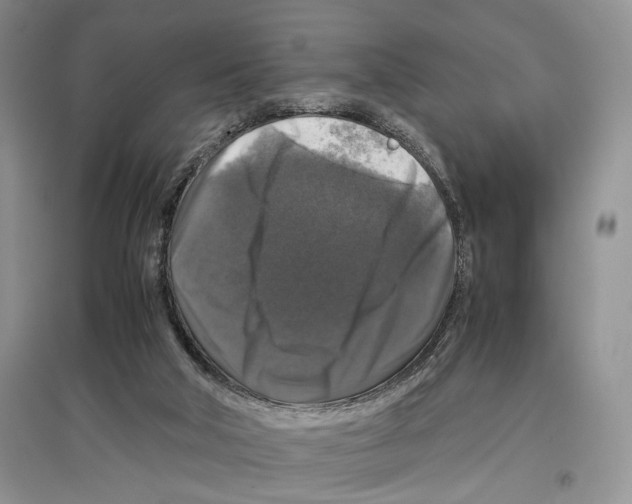 X0000097300018200803141542