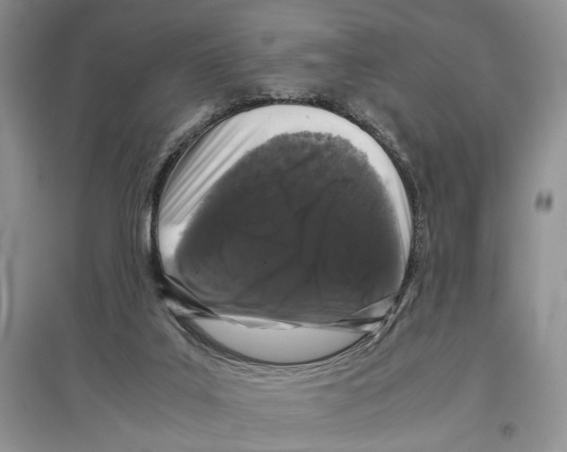 X0000097300019200803141542