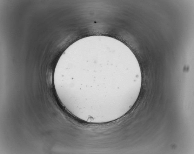 X0000097300021200803141542