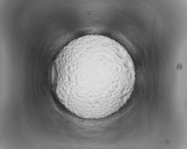X0000097300022200803141542