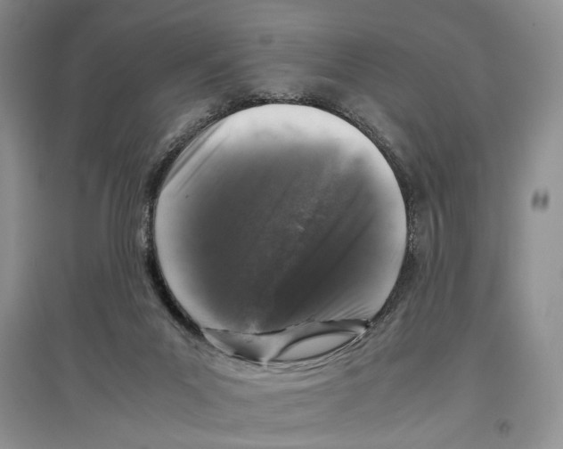 X0000097300023200803141542