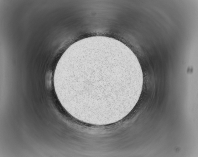 X0000097300024200803141542