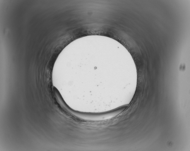 X0000097300025200803141542