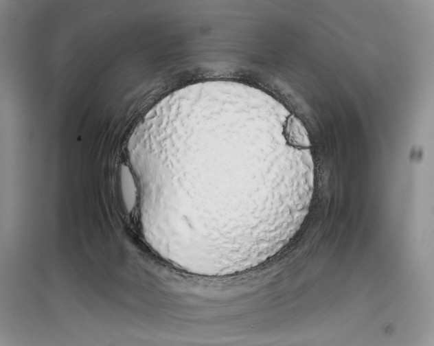 X0000097300026200803141542