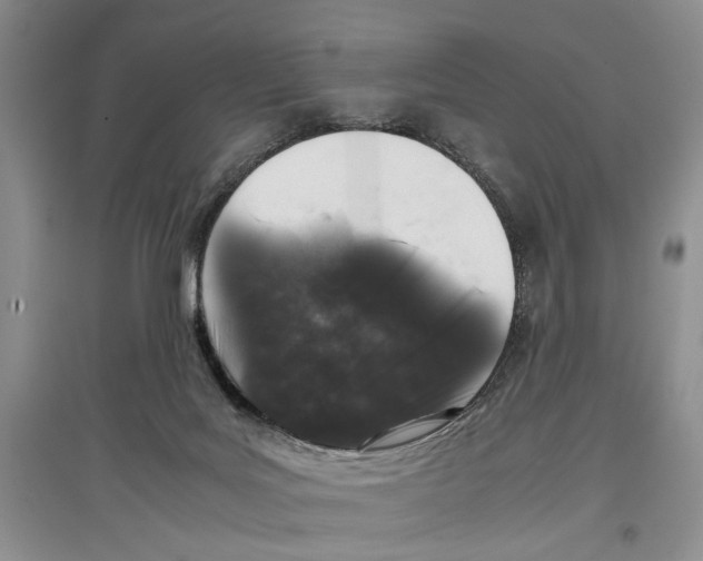 X0000097300027200803141542