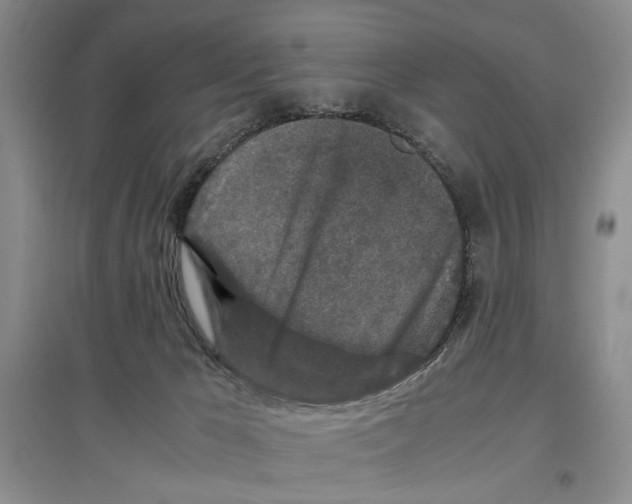 X0000097300029200803141542