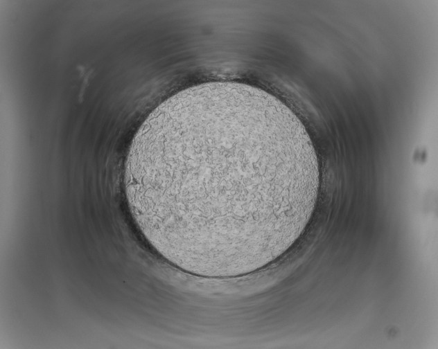 X0000097300030200803141542