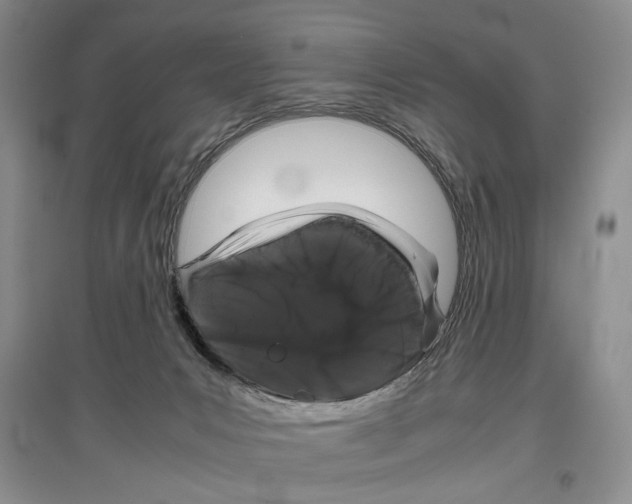 X0000097300031200803141542