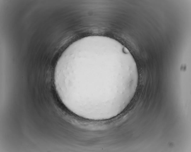 X0000097300032200803141542