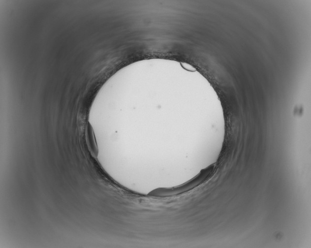 X0000097300033200803141542