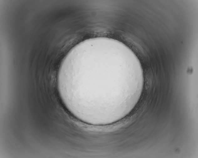 X0000097300034200803141542