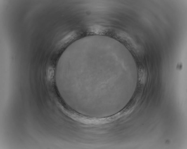 X0000097300036200803141542