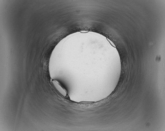 X0000097300037200803141542