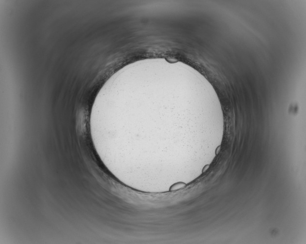 X0000097300038200803141542