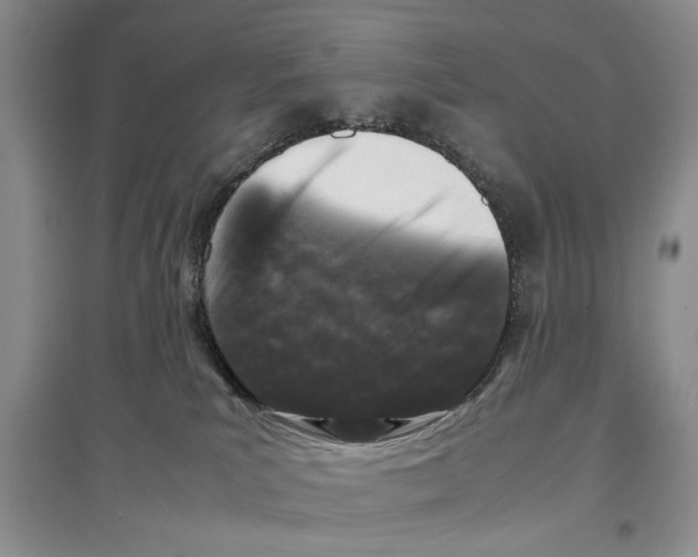 X0000097300039200803141542