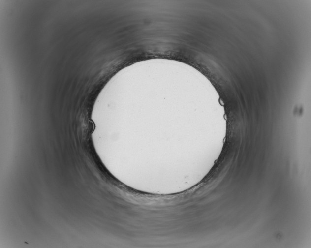 X0000097300040200803141542