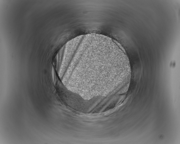 X0000097300041200803141542