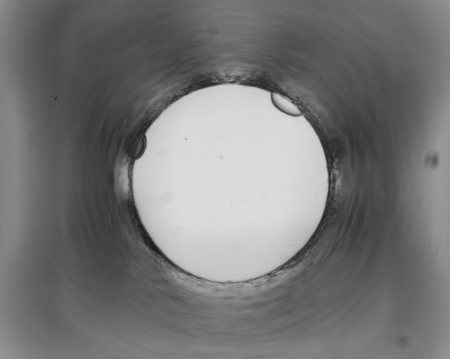 X0000097300042200803141542