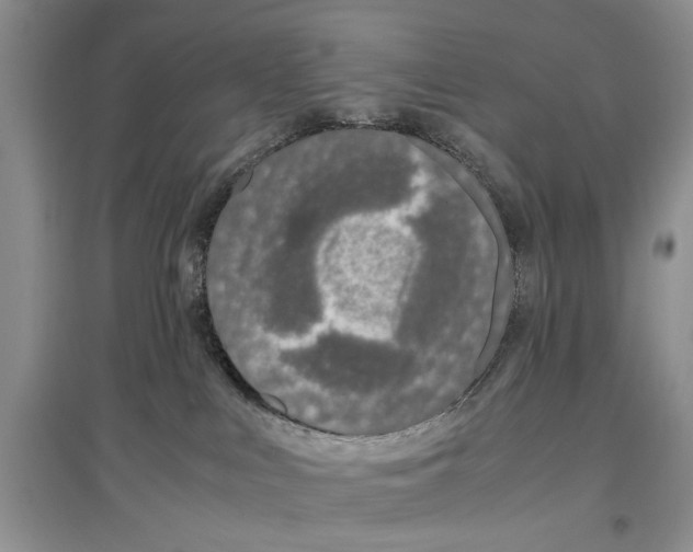 X0000097300043200803141542