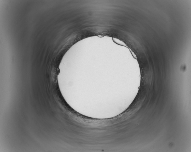 X0000097300044200803141542