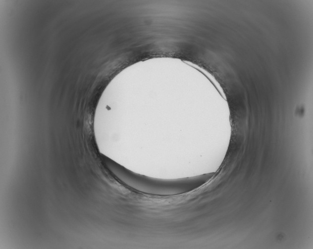 X0000097300045200803141542
