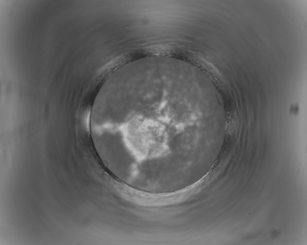 X0000097300047200803141542