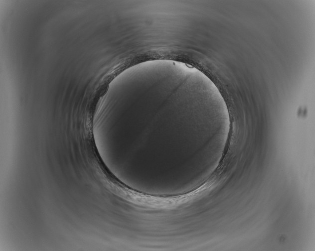 X0000097300048200803141542