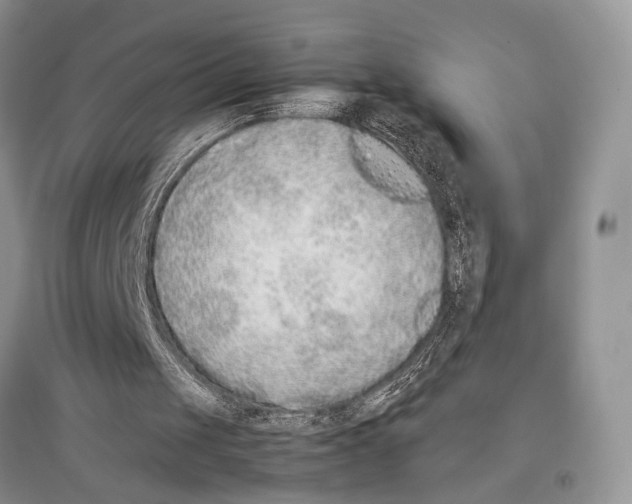 X0000097300049200803141541