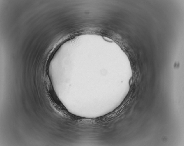 X0000097300050200803141541
